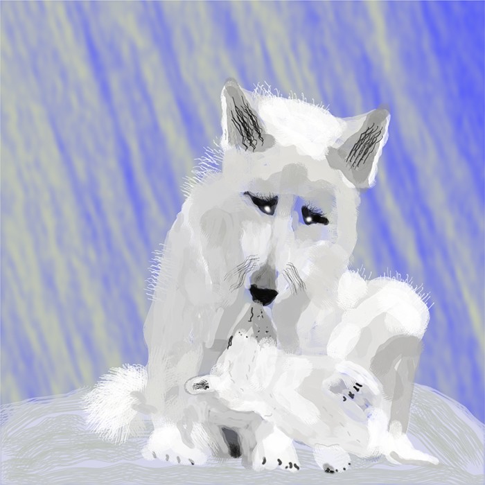 Wolf and Pup on the snow  O910