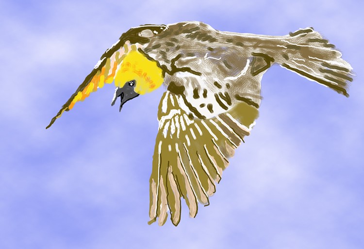 Diving for the Kill  P170