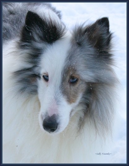 Keesha