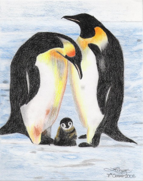 Snow Family
