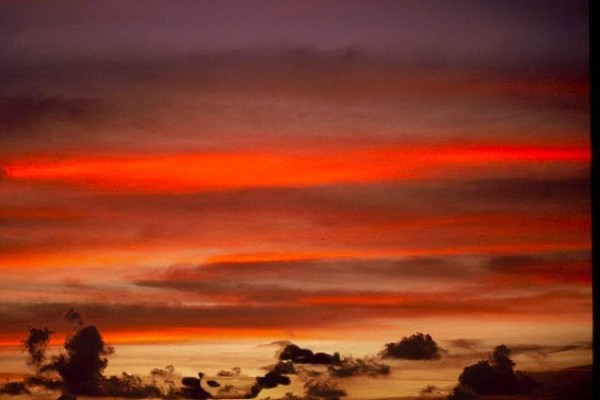 Red Night