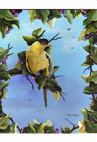 GOLD FINCH