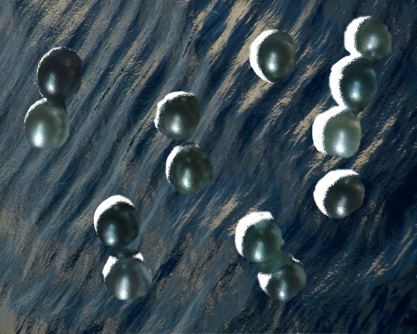 Black  Tahitian pearles on  ocean ripple