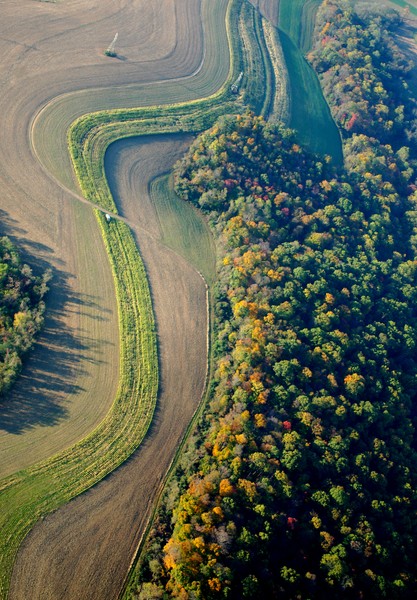 fall field
