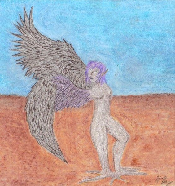 Harpy