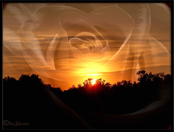 Illuminated Love