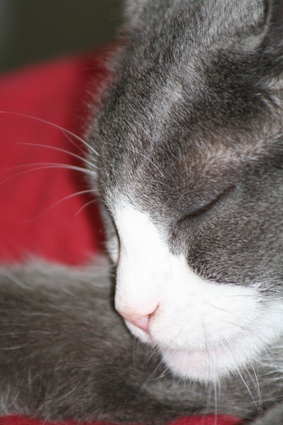 Sleepy Baby