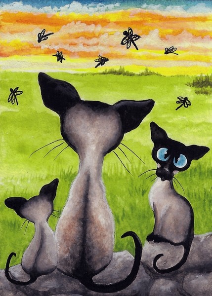 Siamese, Dragonflies & Black Eyed Susans
