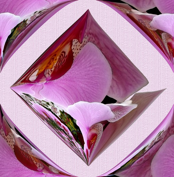 Futuristic Orchids (Two)