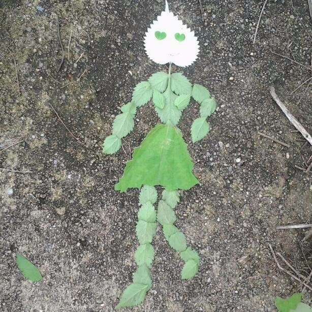 Leaf Dancer 1