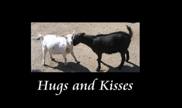 Hugs and Kisses