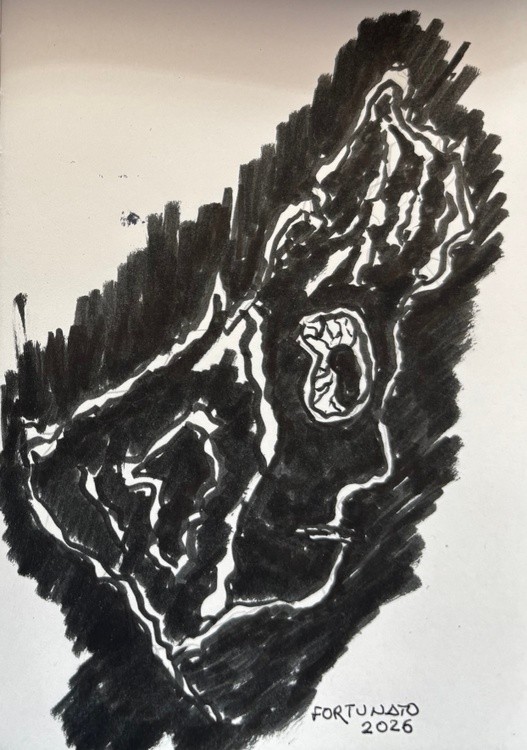 Morcão ( da cabeleireira amarela, ao vento )