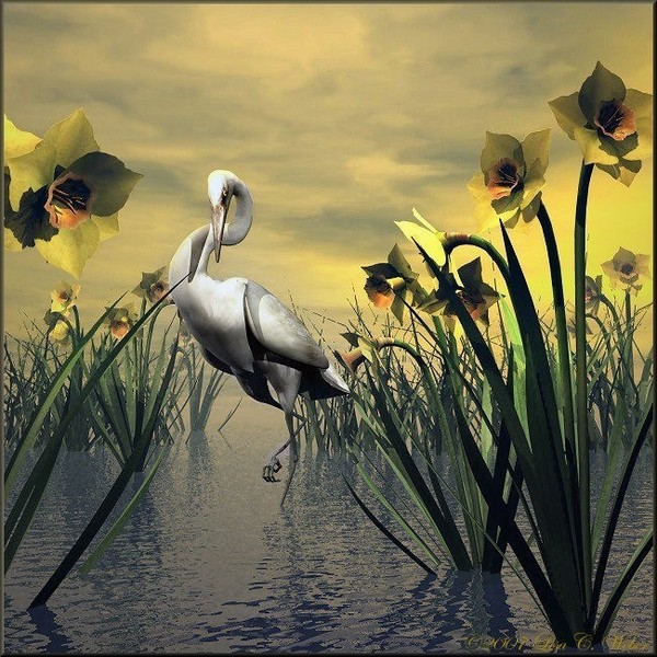 Egrets Pond