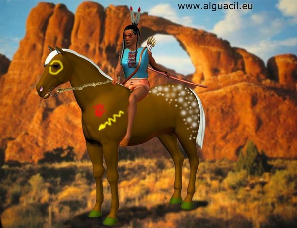 Pony pinto
