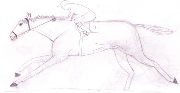 Thoroughbred Racehorse