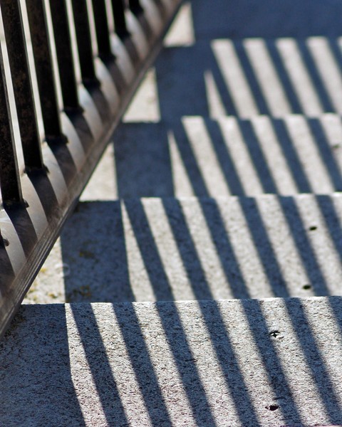 Shadow Lines