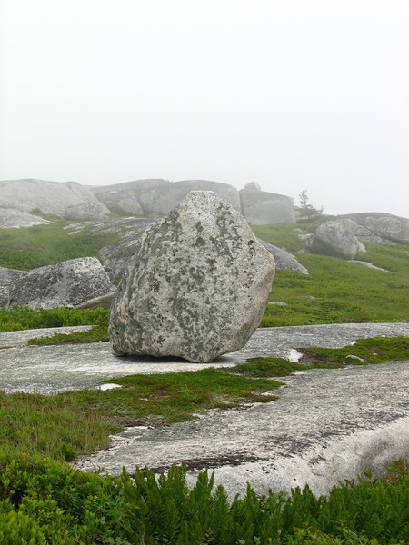 Adult-size boulder in my 'Avalon'