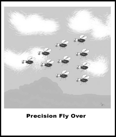 Precision Fly Over