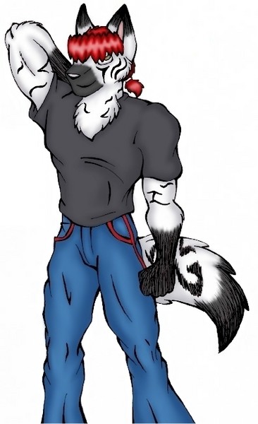 Vego - colored