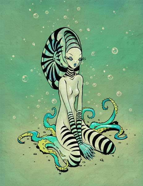 Cephalahottie