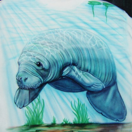 MANATEE