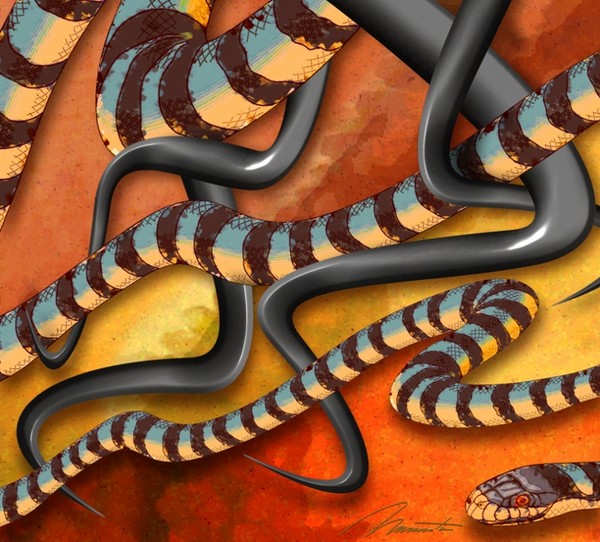 snakes