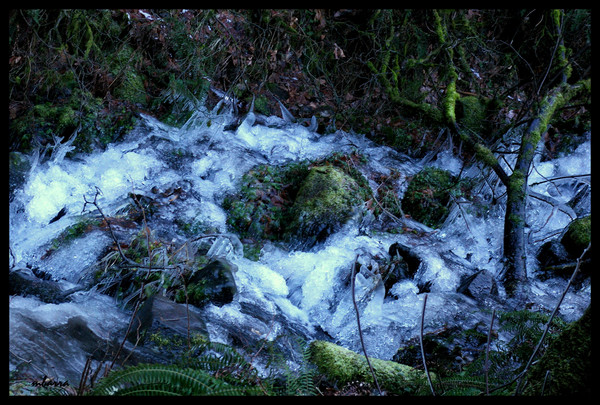 earth and ice