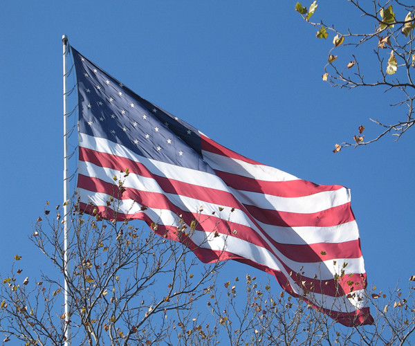 Fall Flag