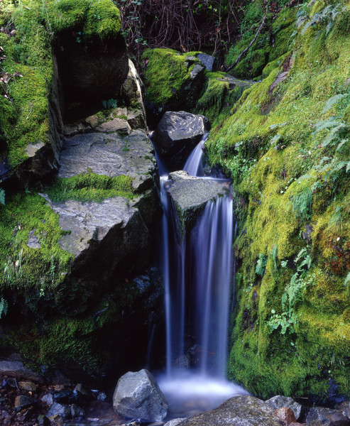Sierra Falls