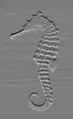 Concrete Fossil