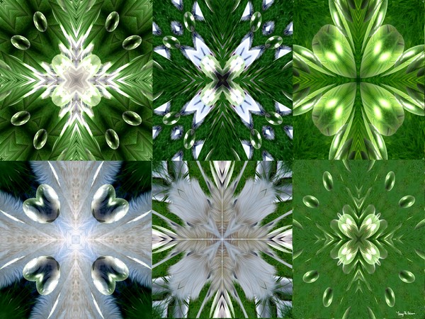 Living Jewels Design