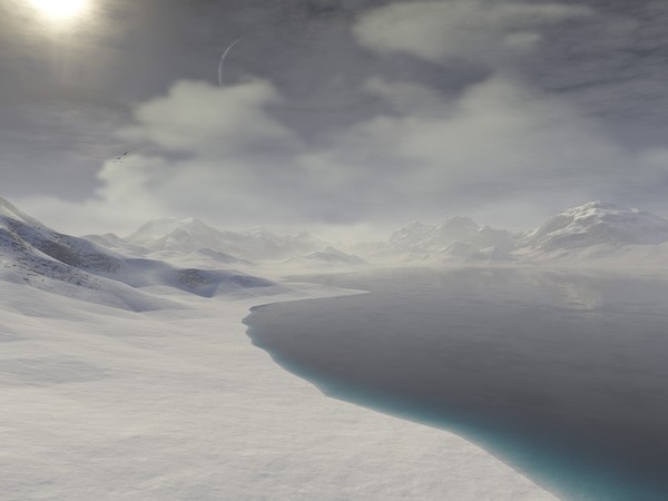 the first cold