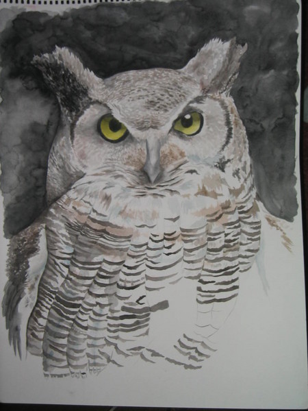 Owl