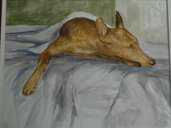 Zoe Napping