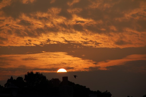 Manayunk Sunset