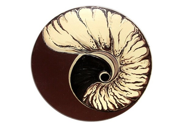 NAUTILUS 01