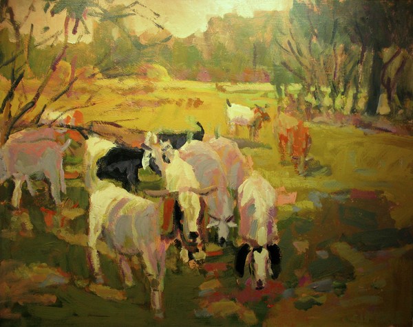 GRAZING GOATS