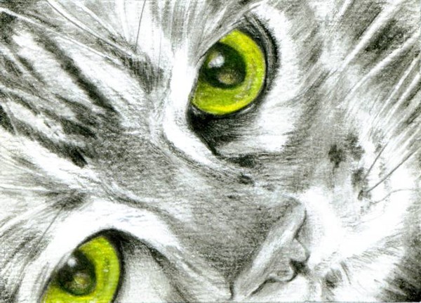 Mesmerize ACEO
