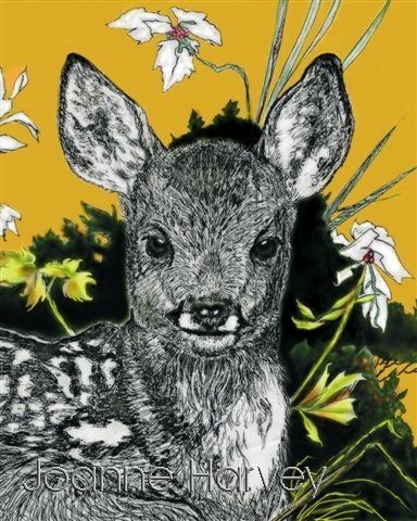 FAWN 2