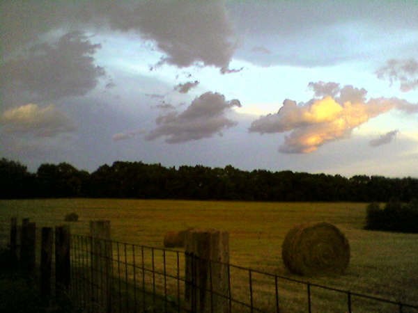 Farm Pasture