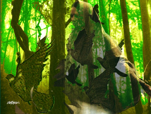 The Birdwoman