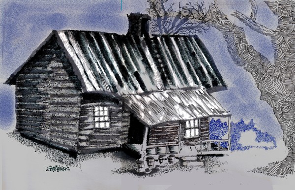 Under a Tin Roof