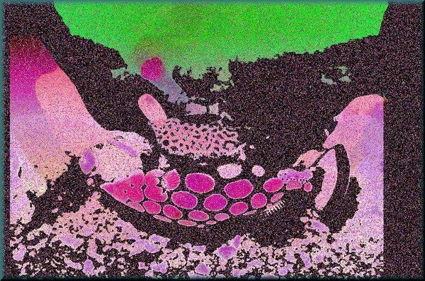 scales 20