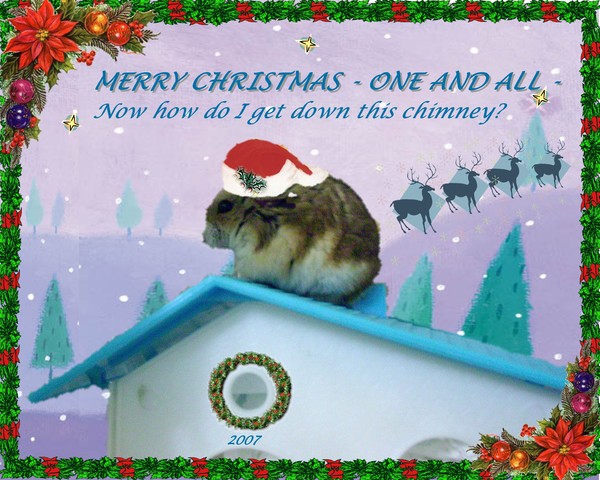 Santa Peek-a-boo