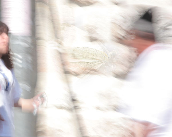 Accidental Encounters#6