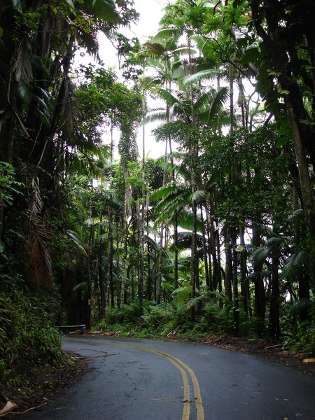 Roads To Drive 0024