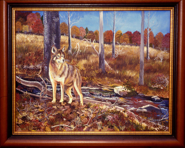 Red Wolf