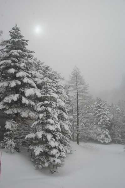 Fog