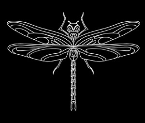 Dragon Fly