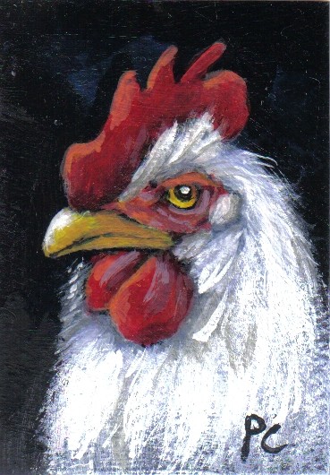 White Rooster